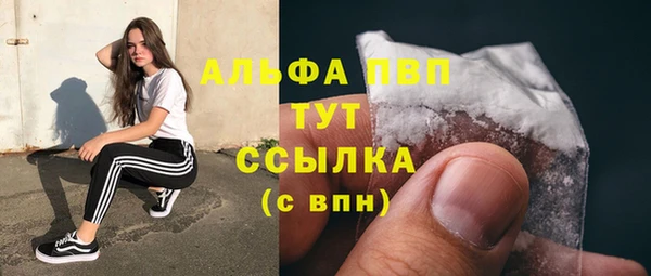 сатива Абаза