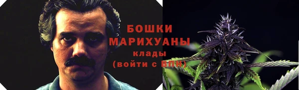 мяу мяу мука Покачи