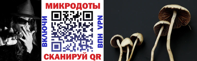 Галлюциногенные грибы MAGIC MUSHROOMS  Струнино 
