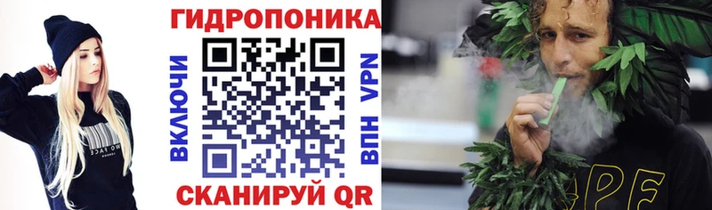 OMG ссылки  Струнино  Конопля планчик 